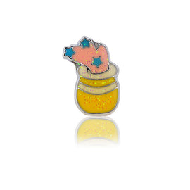 aquarius slide charm