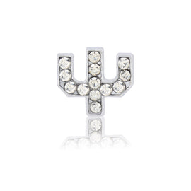 psi slide charm